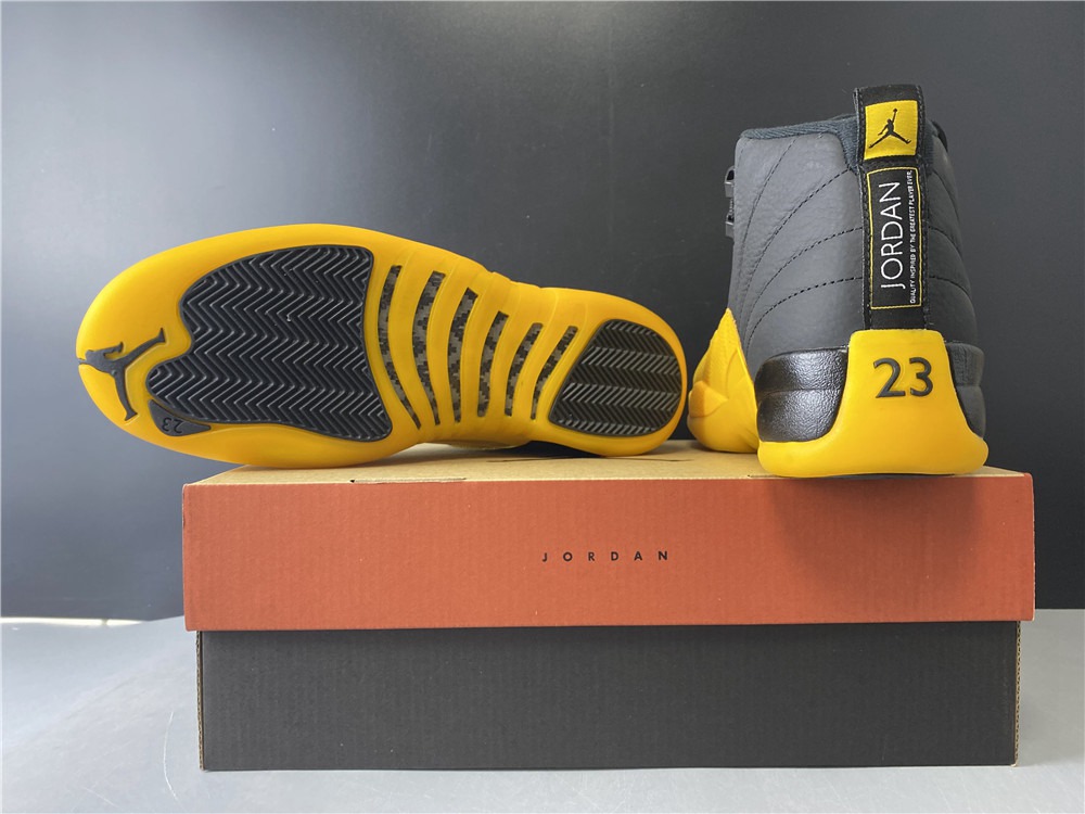 Nike Air Jordan 12 Retro GS 130690-070